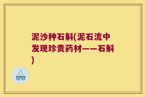 泥沙种石斛(泥石流中发现珍贵药材——石斛)