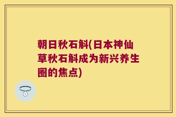 朝日秋石斛(日本神仙草秋石斛成为新兴养生圈的焦点)