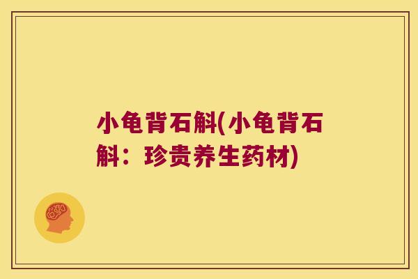 小龟背石斛(小龟背石斛：珍贵养生药材)