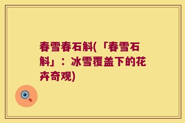 春雪春石斛(「春雪石斛」：冰雪覆盖下的花卉奇观)