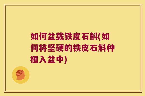 如何盆载铁皮石斛(如何将坚硬的铁皮石斛种植入盆中)