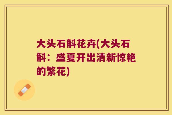 大头石斛花卉(大头石斛：盛夏开出清新惊艳的繁花)