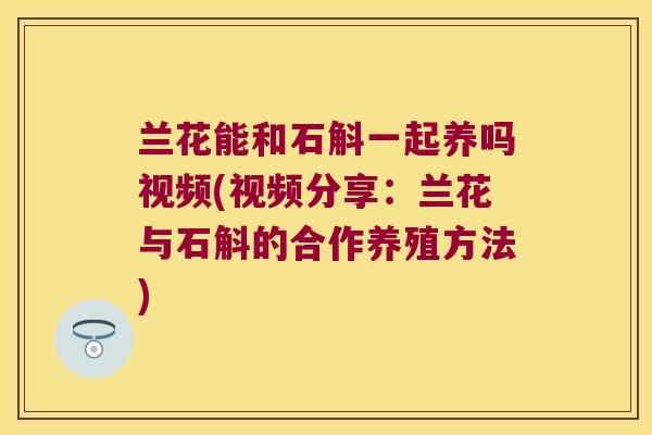 兰花能和石斛一起养吗视频(视频分享：兰花与石斛的合作养殖方法)