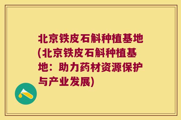 北京铁皮石斛种植基地(北京铁皮石斛种植基地：助力药材资源保护与产业发展)