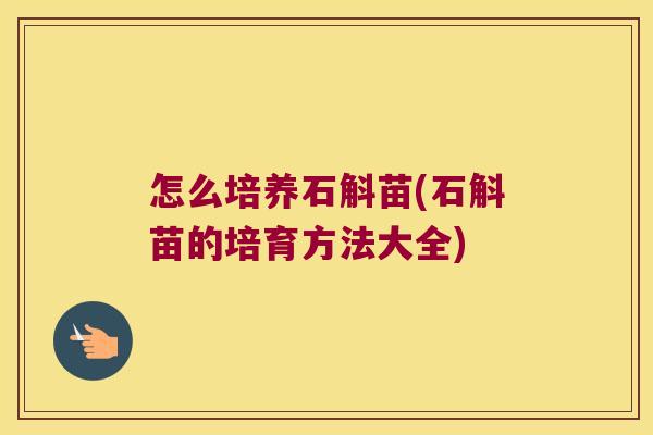 怎么培养石斛苗(石斛苗的培育方法大全)