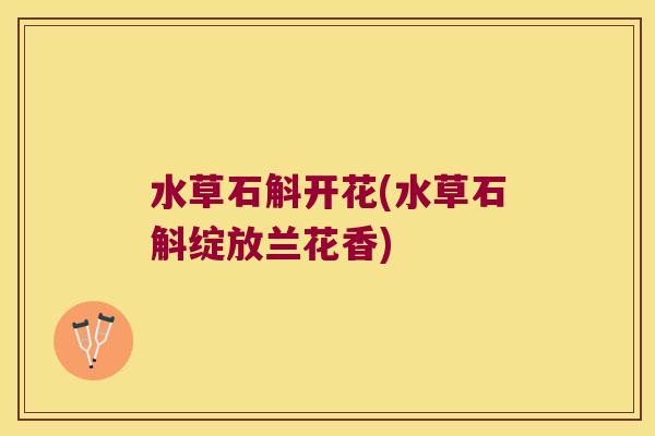 水草石斛开花(水草石斛绽放兰花香)