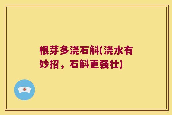 根芽多浇石斛(浇水有妙招，石斛更强壮)