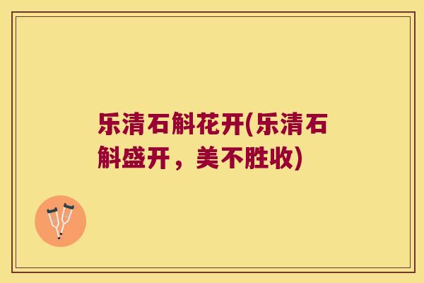 乐清石斛花开(乐清石斛盛开，美不胜收)