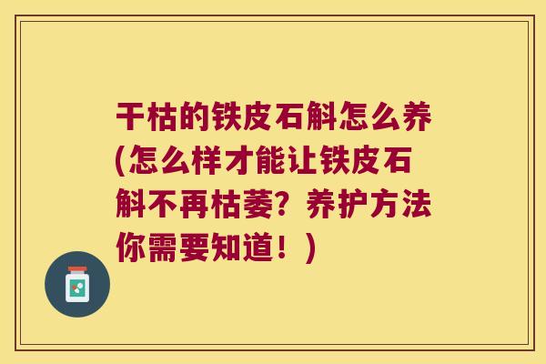 干枯的铁皮石斛怎么养(怎么样才能让铁皮石斛不再枯萎？养护方法你需要知道！)