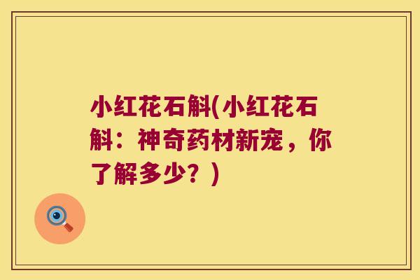 小红花石斛(小红花石斛：神奇药材新宠，你了解多少？)