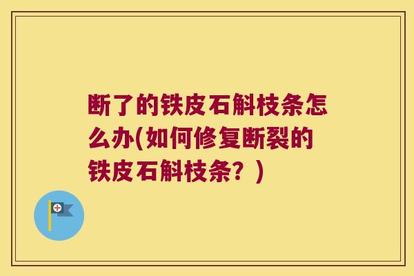 断了的铁皮石斛枝条怎么办(如何修复断裂的铁皮石斛枝条？)