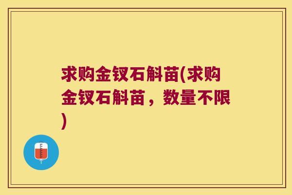求购金钗石斛苗(求购金钗石斛苗,数量不限) 求购金钗石斛苗(求购金钗石斛苗,数量不限)
