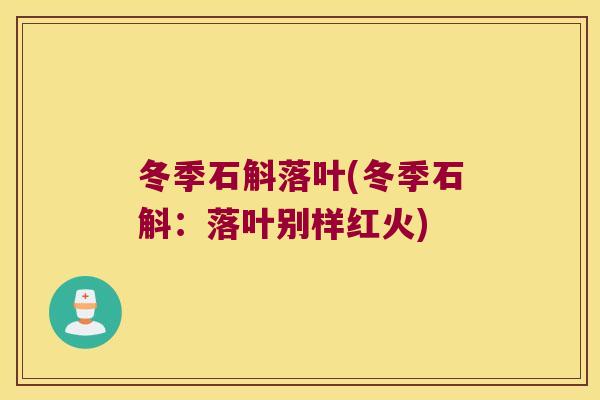 冬季石斛落叶(冬季石斛：落叶别样红火)