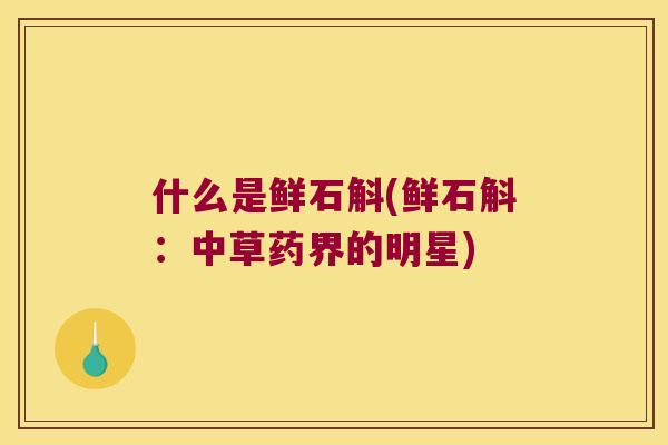 什么是鲜石斛(鲜石斛:中草药界的明星) 什么是鲜石斛(鲜石斛:中草药界的明星)