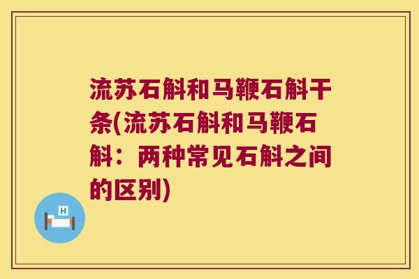 流苏石斛和马鞭石斛干条(流苏石斛和马鞭石斛：两种常见石斛之间的区别)