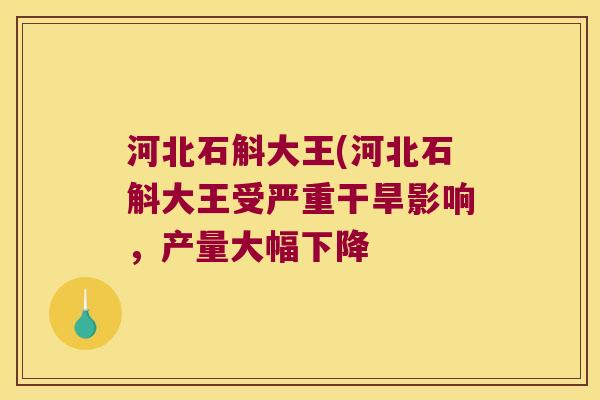 河北石斛大王(河北石斛大王受严重干旱影响，产量大幅下降