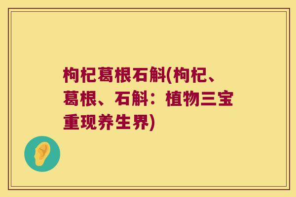 枸杞葛根石斛(枸杞、葛根、石斛：植物三宝重现养生界)