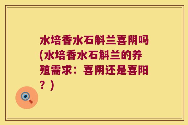 水培香水石斛兰喜阴吗(水培香水石斛兰的养殖需求：喜阴还是喜阳？)