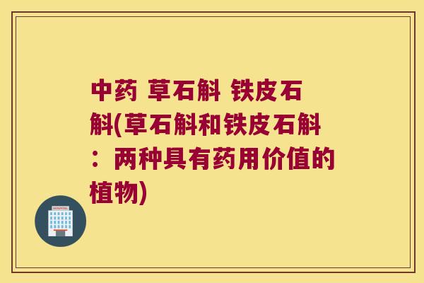 中药 草石斛 铁皮石斛(草石斛和铁皮石斛：两种具有药用价值的植物)