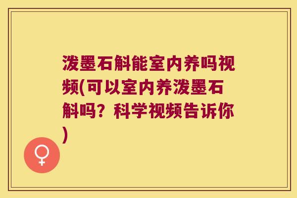 泼墨石斛能室内养吗视频(可以室内养泼墨石斛吗？科学视频告诉你)