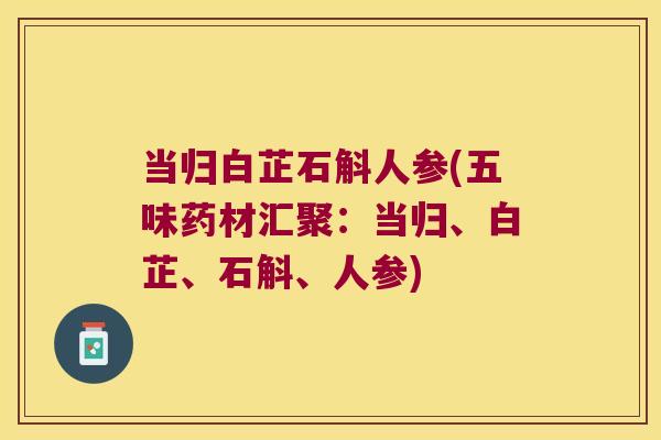 当归白芷石斛人参(五味药材汇聚：当归、白芷、石斛、人参)