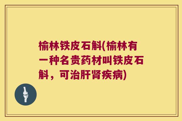 榆林铁皮石斛(榆林有一种名贵药材叫铁皮石斛，可治肝肾疾病)