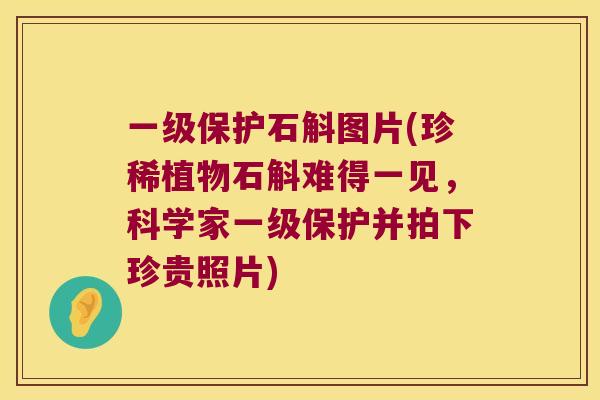 一级保护石斛图片(珍稀植物石斛难得一见，科学家一级保护并拍下珍贵照片)