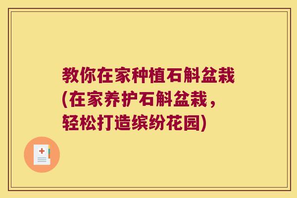 教你在家种植石斛盆栽(在家养护石斛盆栽，轻松打造缤纷花园)