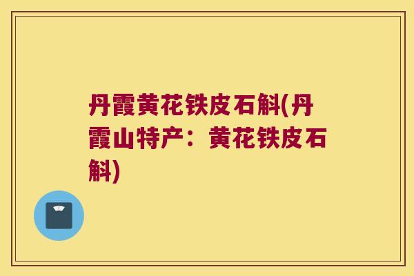 丹霞黄花铁皮石斛(丹霞山特产:黄花铁皮石斛) 丹霞黄花铁皮石斛(丹霞山特产:黄花铁皮石斛)