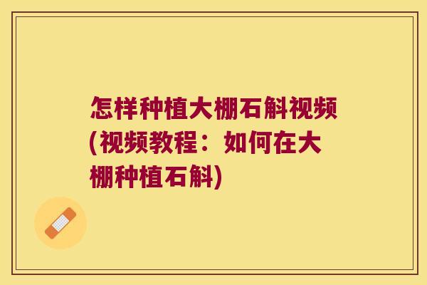怎样种植大棚石斛视频(视频教程：如何在大棚种植石斛)