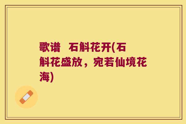 歌谱  石斛花开(石斛花盛放，宛若仙境花海)