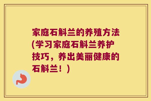 家庭石斛兰的养殖方法(学习家庭石斛兰养护技巧，养出美丽健康的石斛兰！)