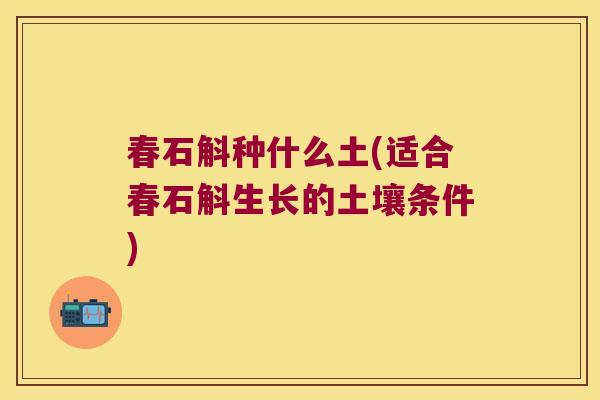 春石斛种什么土(适合春石斛生长的土壤条件)