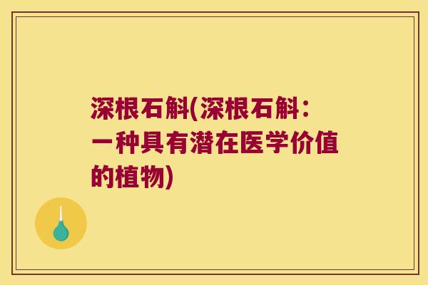 深根石斛(深根石斛：一种具有潜在医学价值的植物)