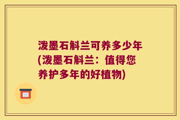 泼墨石斛兰可养多少年(泼墨石斛兰：值得您养护多年的好植物)