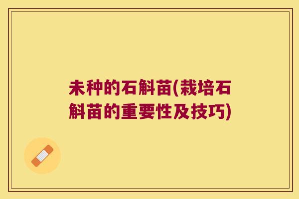 未种的石斛苗(栽培石斛苗的重要性及技巧)