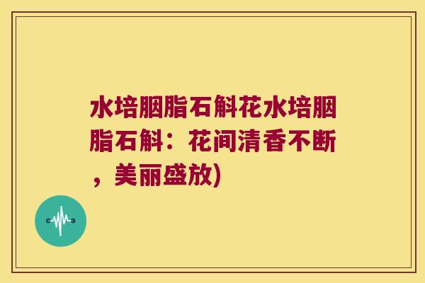 水培胭脂石斛花水培胭脂石斛：花间清香不断，美丽盛放)
