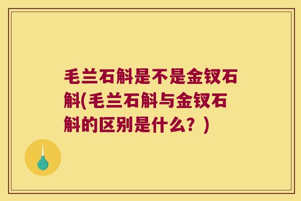 毛兰石斛是不是金钗石斛(毛兰石斛与金钗石斛的区别是什么？)
