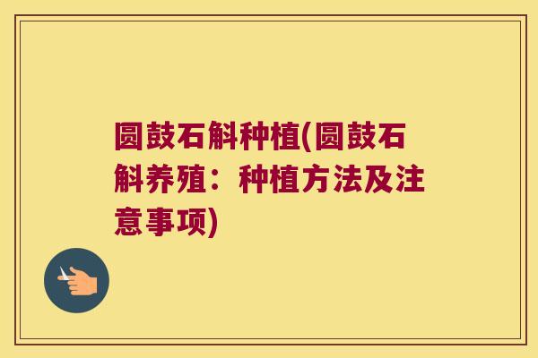 圆鼓石斛种植(圆鼓石斛养殖：种植方法及注意事项)