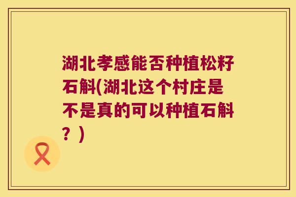 湖北孝感能否种植松籽石斛(湖北这个村庄是不是真的可以种植石斛？)