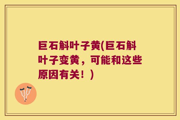 巨石斛叶子黄(巨石斛叶子变黄，可能和这些原因有关！)