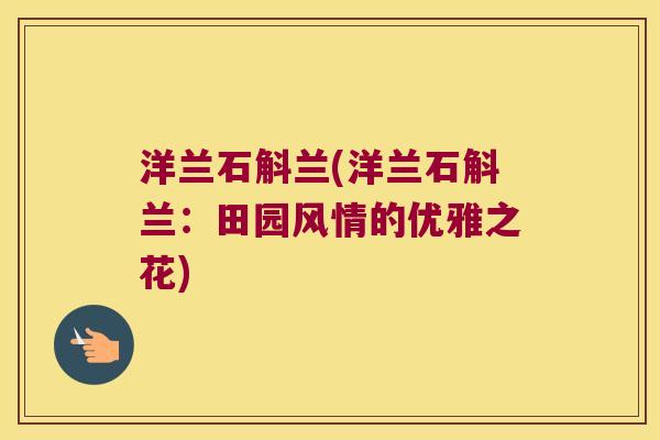 洋兰石斛兰(洋兰石斛兰：田园风情的优雅之花)