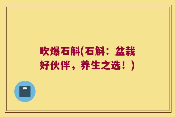吹爆石斛(石斛：盆栽好伙伴，养生之选！)