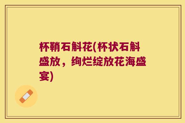 杯鞘石斛花(杯状石斛盛放，绚烂绽放花海盛宴)