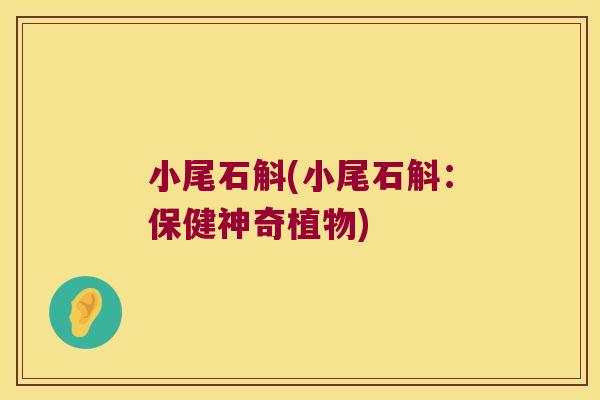 小尾石斛(小尾石斛：保健神奇植物)