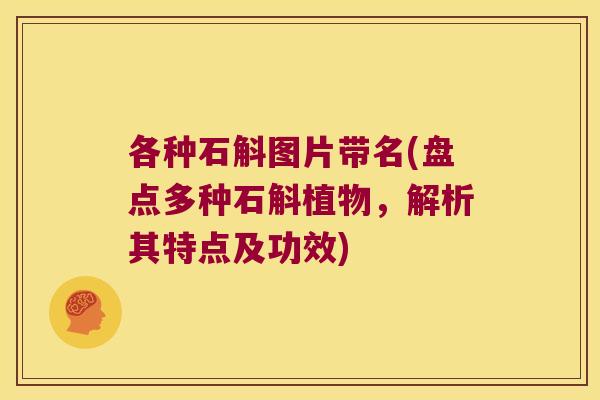 各种石斛图片带名(盘点多种石斛植物，解析其特点及功效)