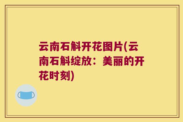 云南石斛开花图片(云南石斛绽放：美丽的开花时刻)