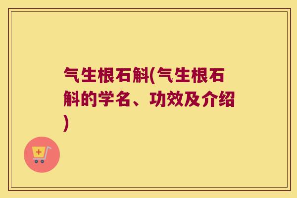 气生根石斛(气生根石斛的学名、功效及介绍)