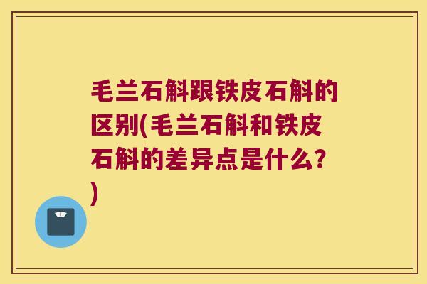 毛兰石斛跟铁皮石斛的区别(毛兰石斛和铁皮石斛的差异点是什么？)