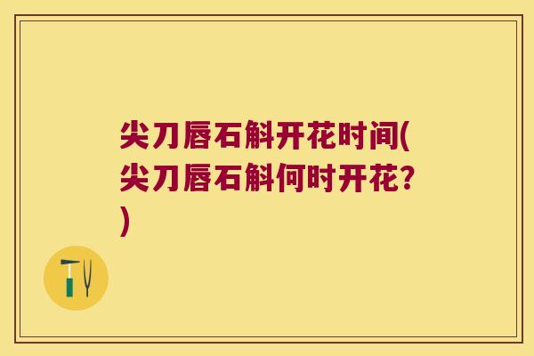 尖刀唇石斛开花时间(尖刀唇石斛何时开花？)